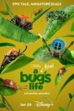 Постер Настоящая жизнь жука (A Real Bug's Life)
