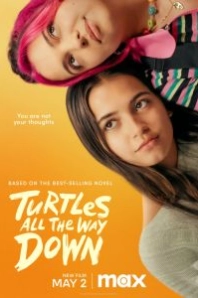 Постер Черепахи – и нет им конца (Turtles All the Way Down)