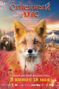 Постер Огненный лис